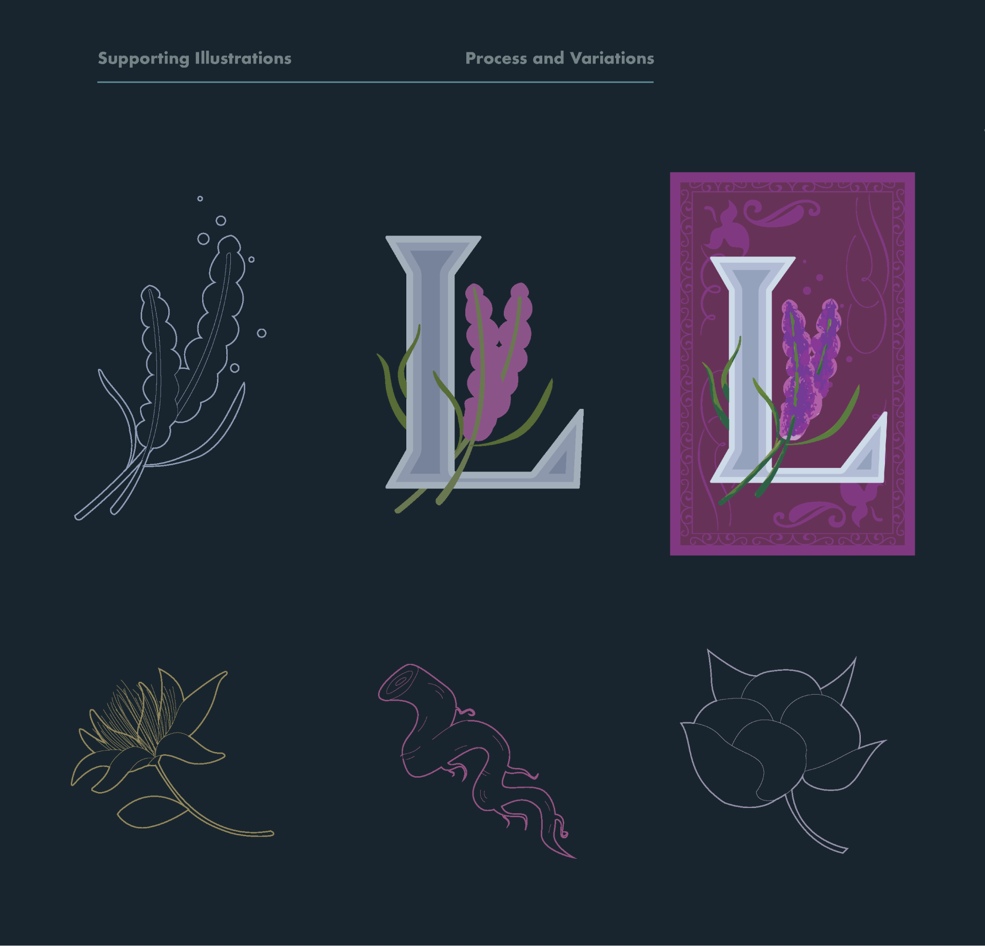 Shleep supporting illustration